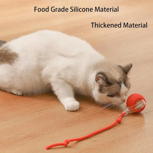 360° Smart Automatic Rolling Pet Ball – Interactive Dog & Cat Toy for Exercise & Entertainment