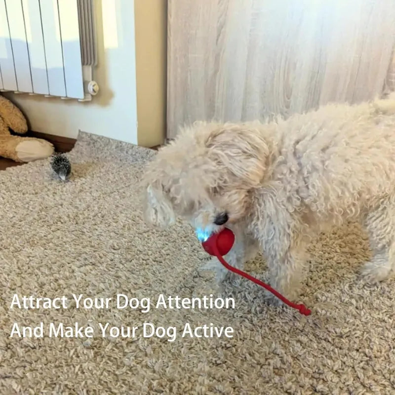 360° Smart Automatic Rolling Pet Ball – Interactive Dog & Cat Toy for Exercise & Entertainment