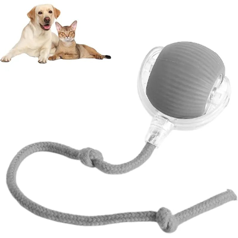 360° Smart Automatic Rolling Pet Ball – Interactive Dog & Cat Toy for Exercise & Entertainment